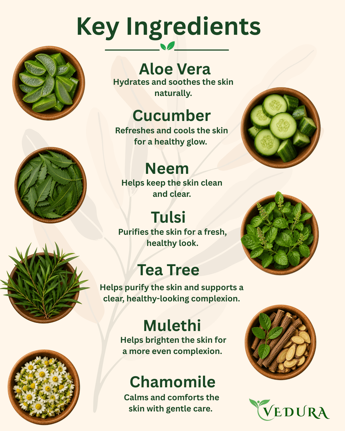 Aloe Vera Body Wash - Vedura